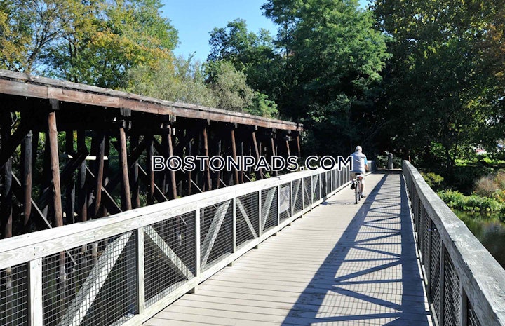 River St. Waltham picture 10