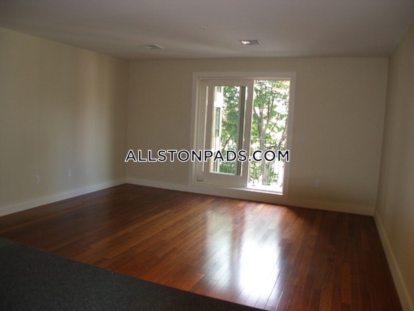 BOSTON - ALLSTON - 1 Bed, 1 Bath - Image 2