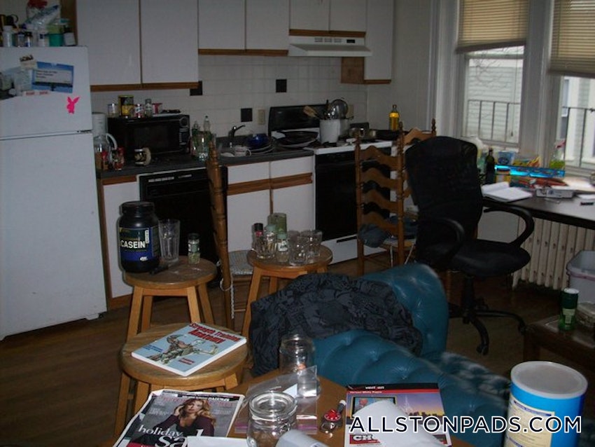 BOSTON - ALLSTON - 2 Beds, 1 Bath - Image 14