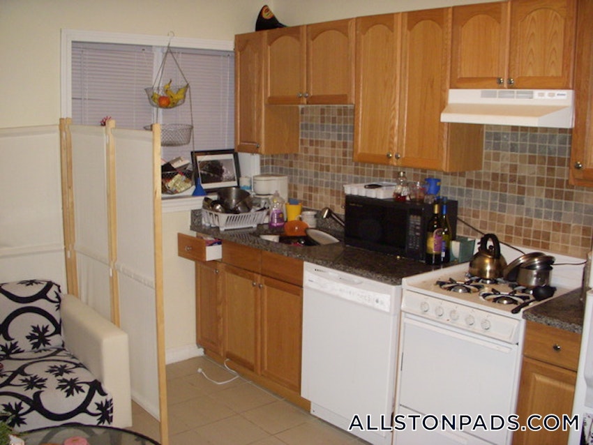 BOSTON - ALLSTON - 2 Beds, 1 Bath - Image 8