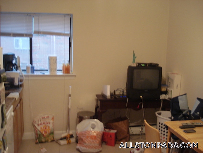 BOSTON - ALLSTON - 1 Bed, 1 Bath - Image 19