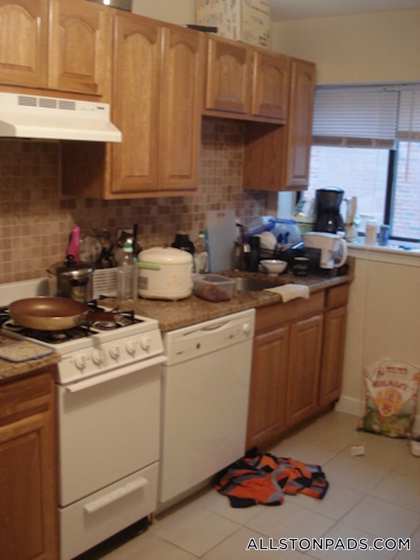 BOSTON - ALLSTON - 1 Bed, 1 Bath - Image 18