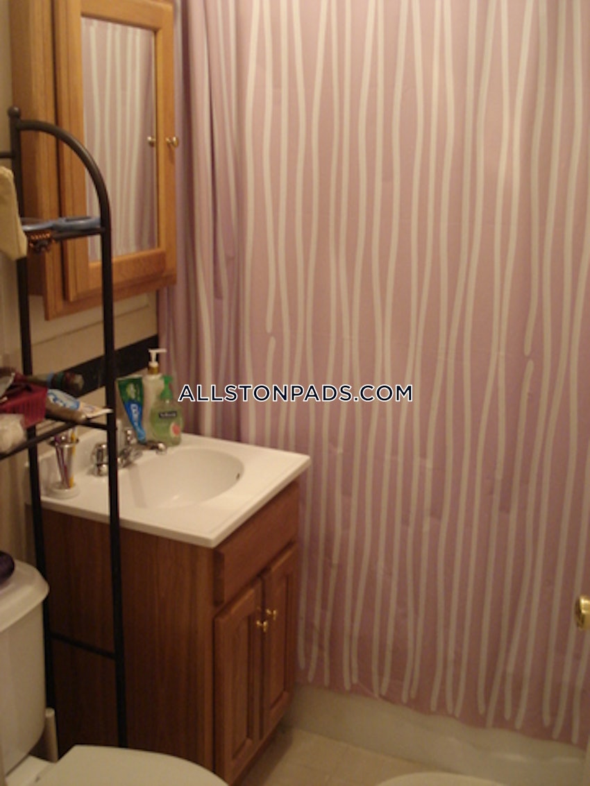 BOSTON - ALLSTON - 1 Bed, 1 Bath - Image 19