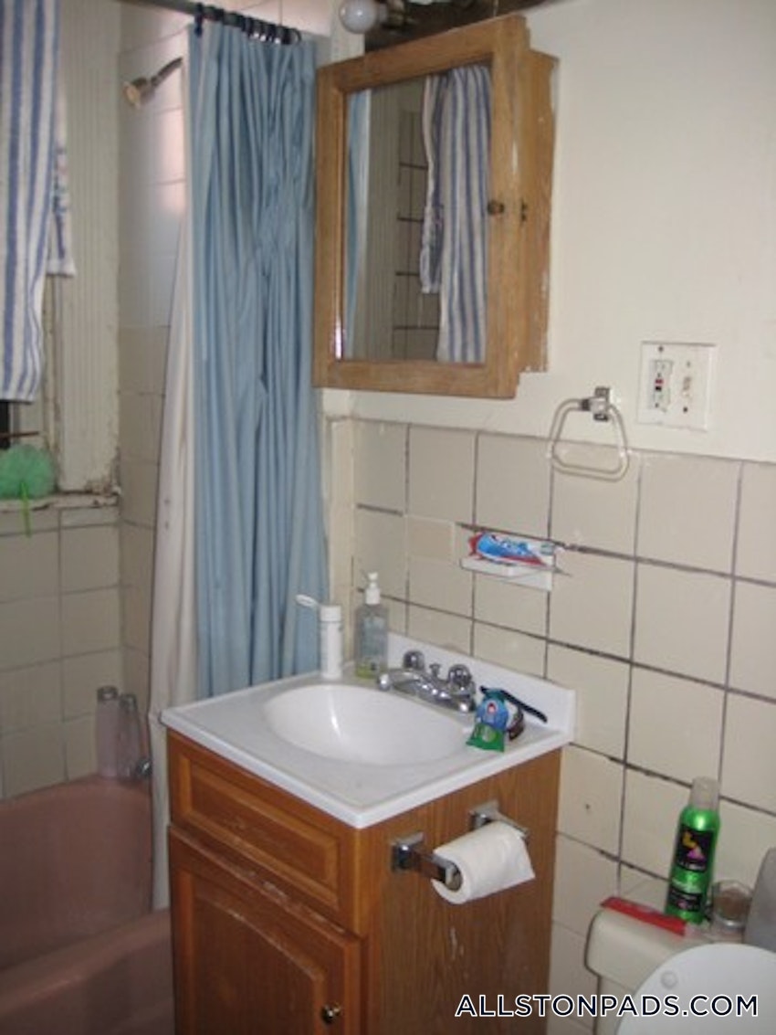 BOSTON - ALLSTON - 2 Beds, 1 Bath - Image 52