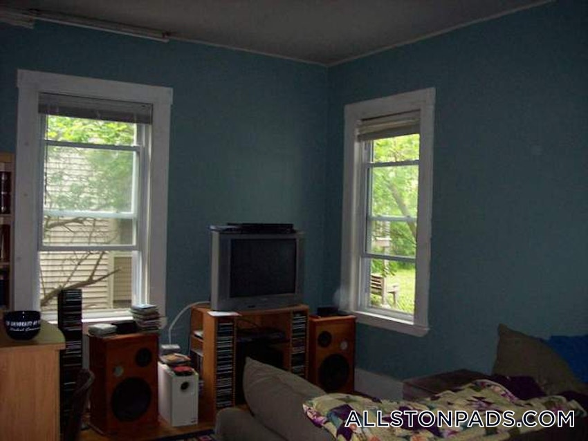 BOSTON - ALLSTON - 1 Bed, 1 Bath - Image 14