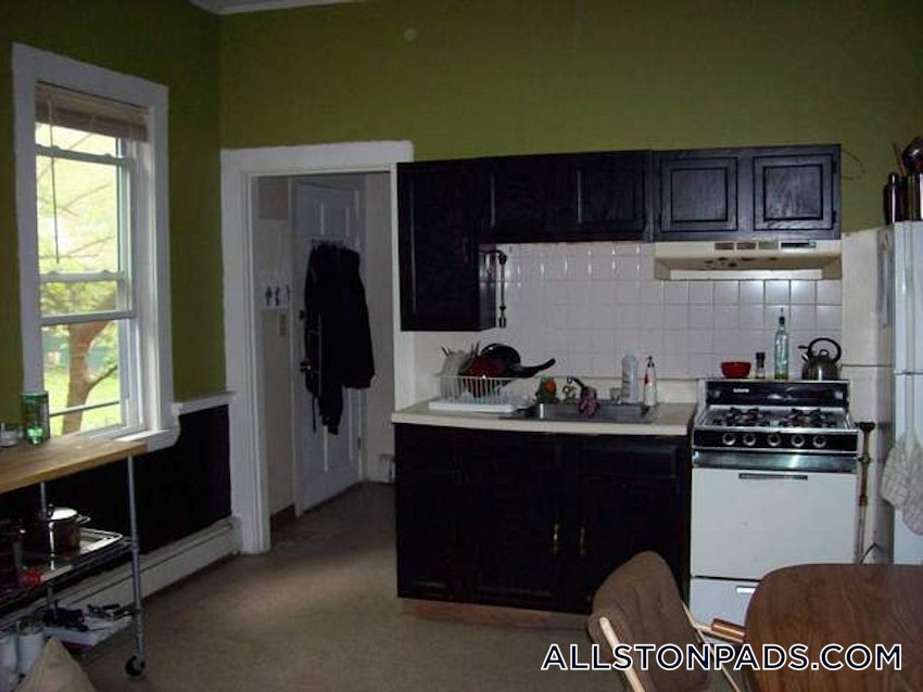 BOSTON - ALLSTON - 1 Bed, 1 Bath - Image 9