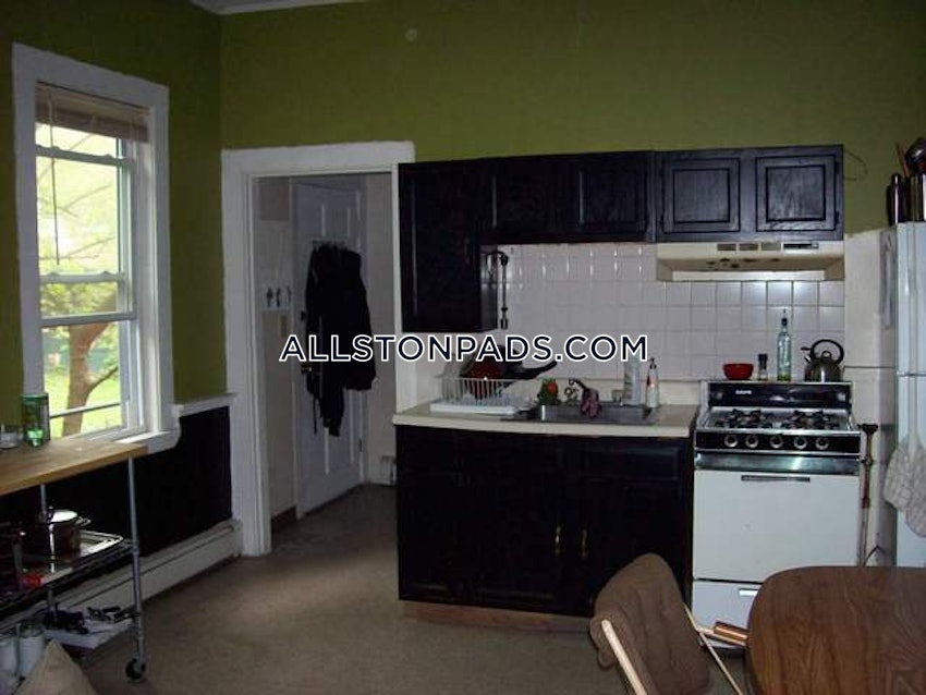 BOSTON - ALLSTON - 1 Bed, 1 Bath - Image 9