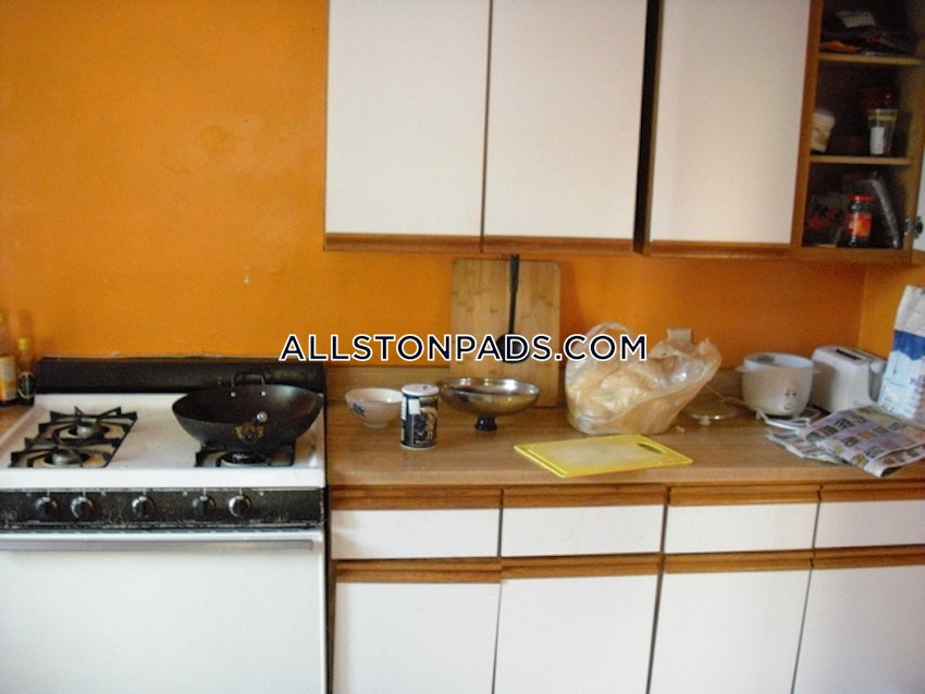 BOSTON - ALLSTON - 1 Bed, 1 Bath - Image 7