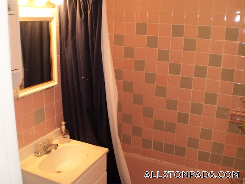 BOSTON - ALLSTON - 2 Beds, 1 Bath - Image 19