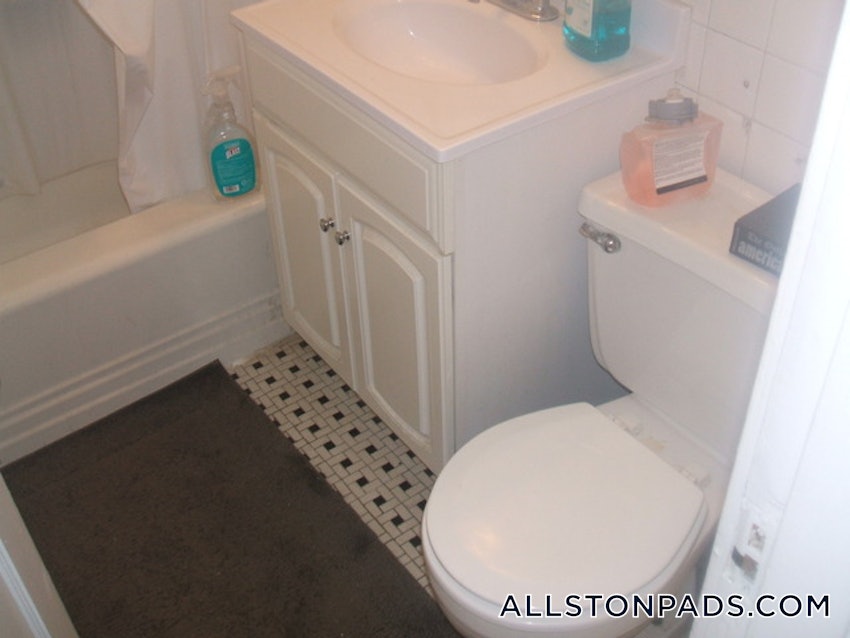 BOSTON - ALLSTON - 2 Beds, 1 Bath - Image 12