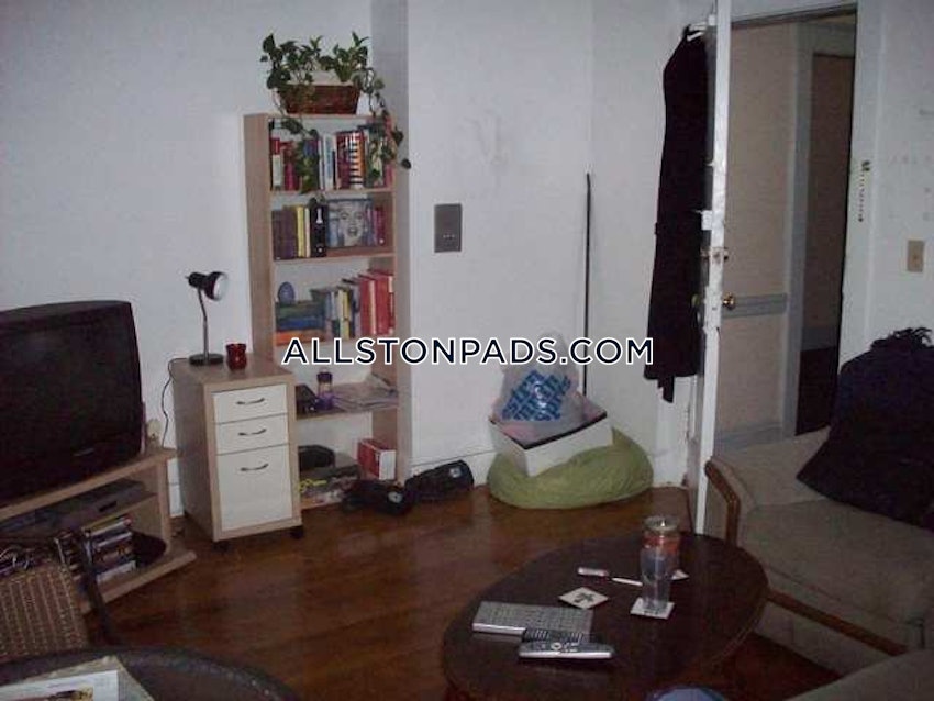 BOSTON - ALLSTON - 1 Bed, 1 Bath - Image 13