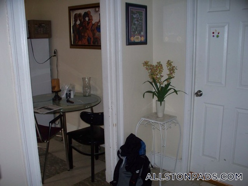 BOSTON - ALLSTON - 1 Bed, 1 Bath - Image 11