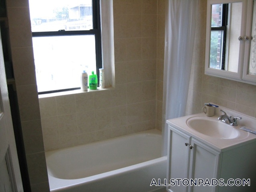 BOSTON - ALLSTON - 1 Bed, 1 Bath - Image 10