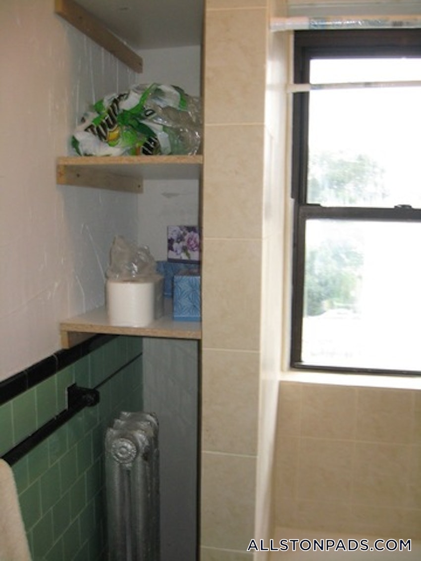 BOSTON - ALLSTON - 1 Bed, 1 Bath - Image 16