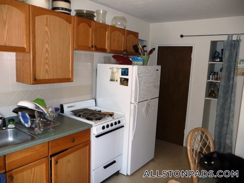 BOSTON - ALLSTON - 1 Bed, 1 Bath - Image 31