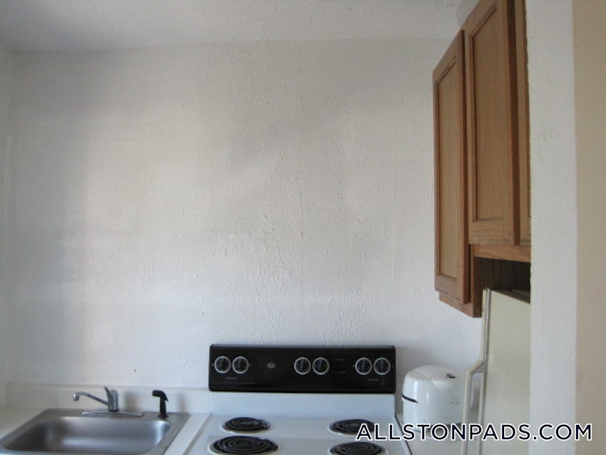 BOSTON - ALLSTON - 1 Bed, 1 Bath - Image 13