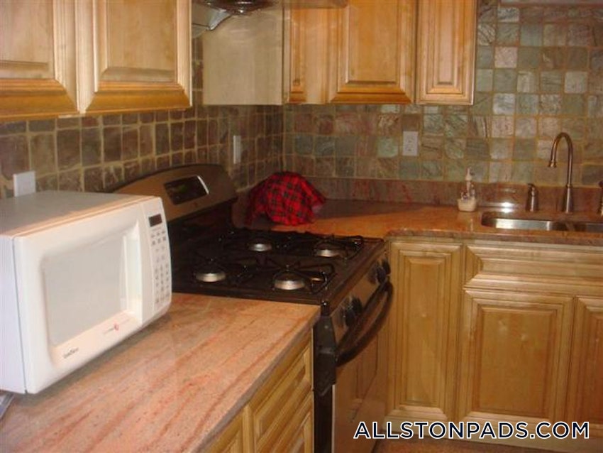 BOSTON - ALLSTON - 5 Beds, 2 Baths - Image 52