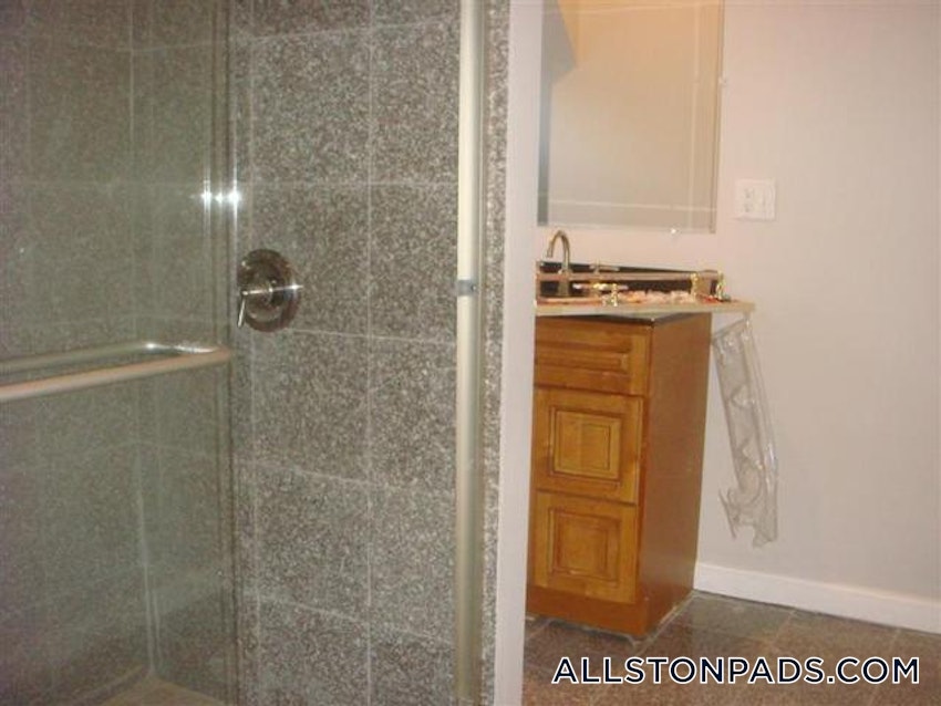 BOSTON - ALLSTON - 5 Beds, 2 Baths - Image 50