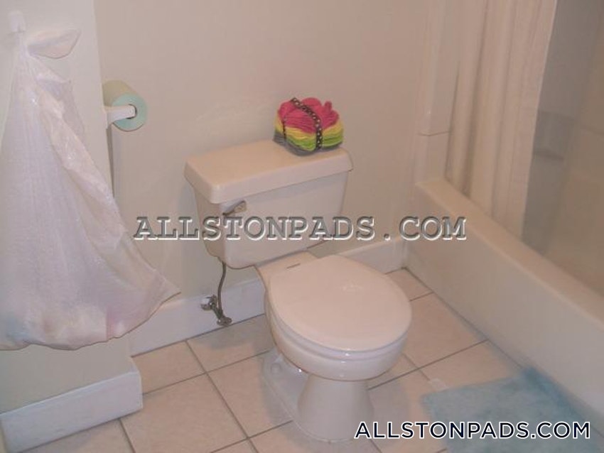 BOSTON - ALLSTON - 1 Bed, 1 Bath - Image 39