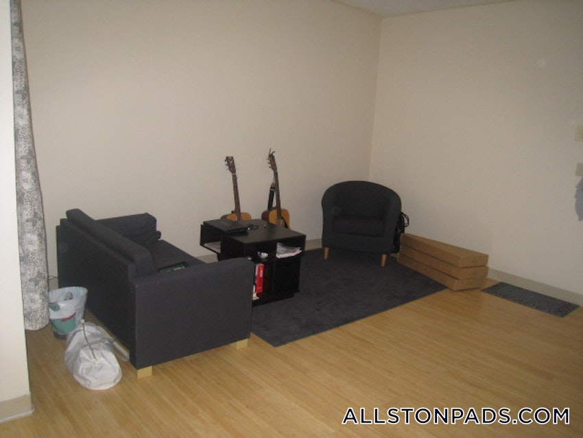 BOSTON - ALLSTON - 2 Beds, 1 Bath - Image 29