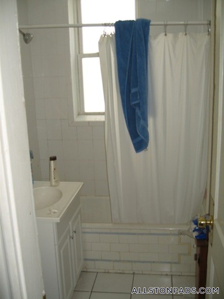 BOSTON - ALLSTON - 1 Bed, 1 Bath - Image 19