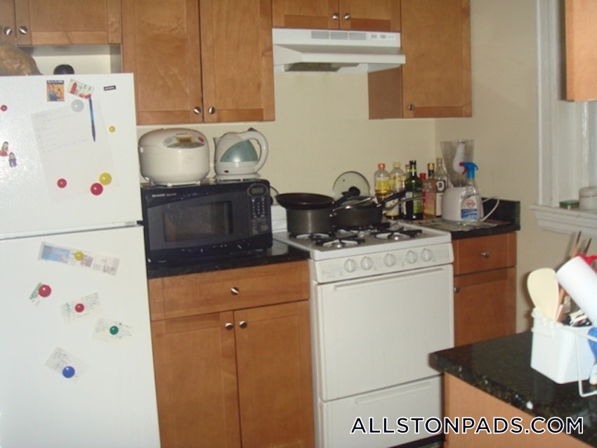 BOSTON - ALLSTON - 1 Bed, 1 Bath - Image 4