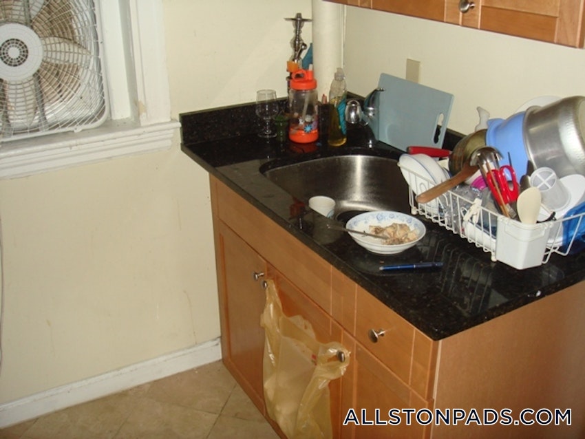 BOSTON - ALLSTON - 1 Bed, 1 Bath - Image 5