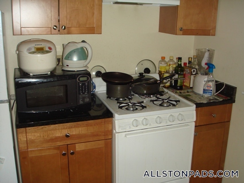 BOSTON - ALLSTON - 1 Bed, 1 Bath - Image 3