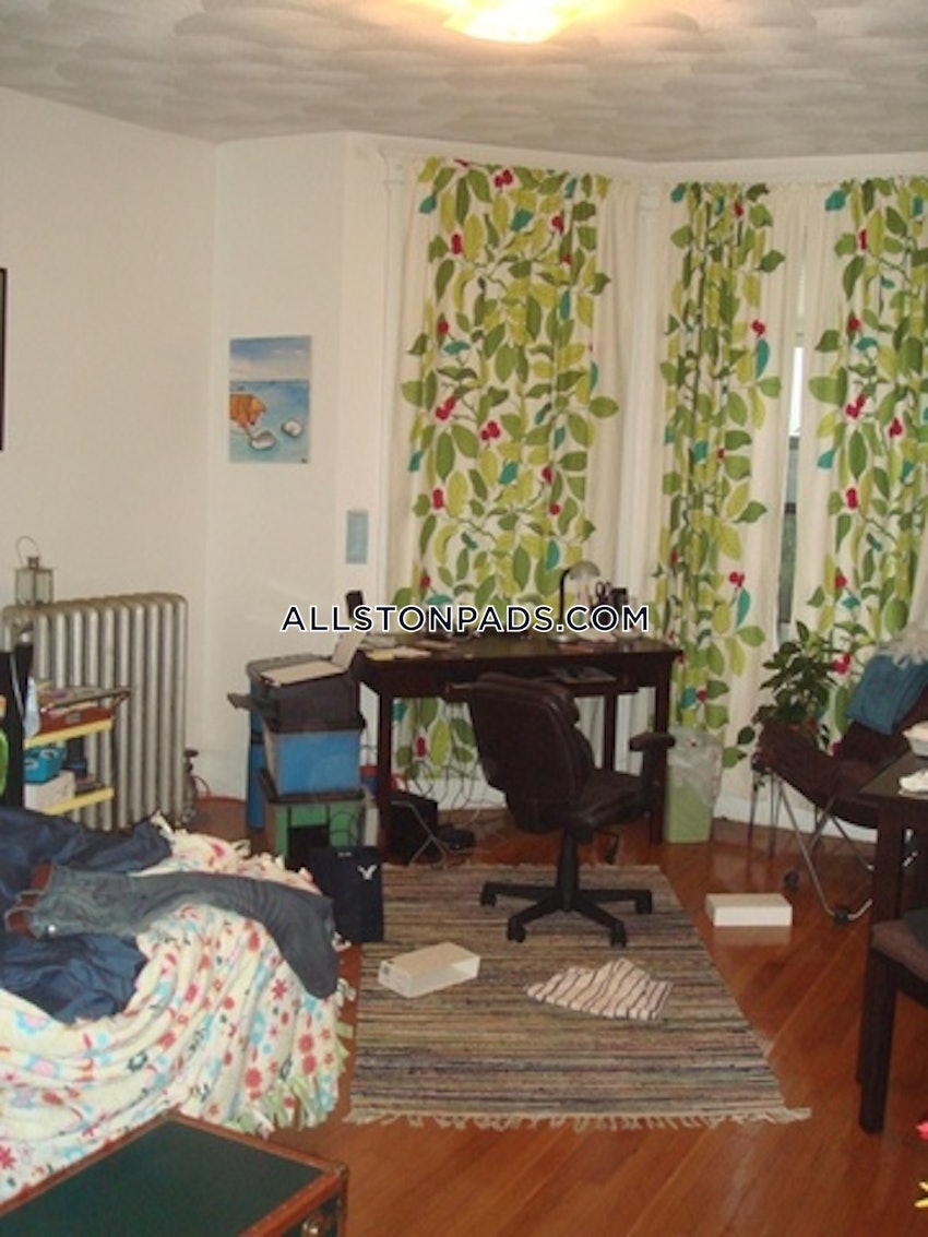 BOSTON - ALLSTON - Studio , 1 Bath - Image 3