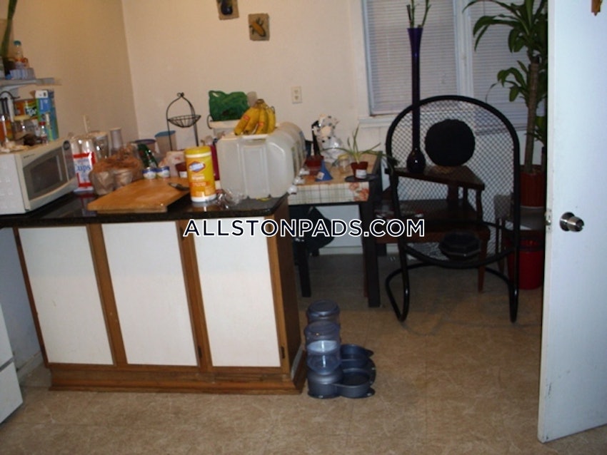 BOSTON - ALLSTON - 1 Bed, 1 Bath - Image 5