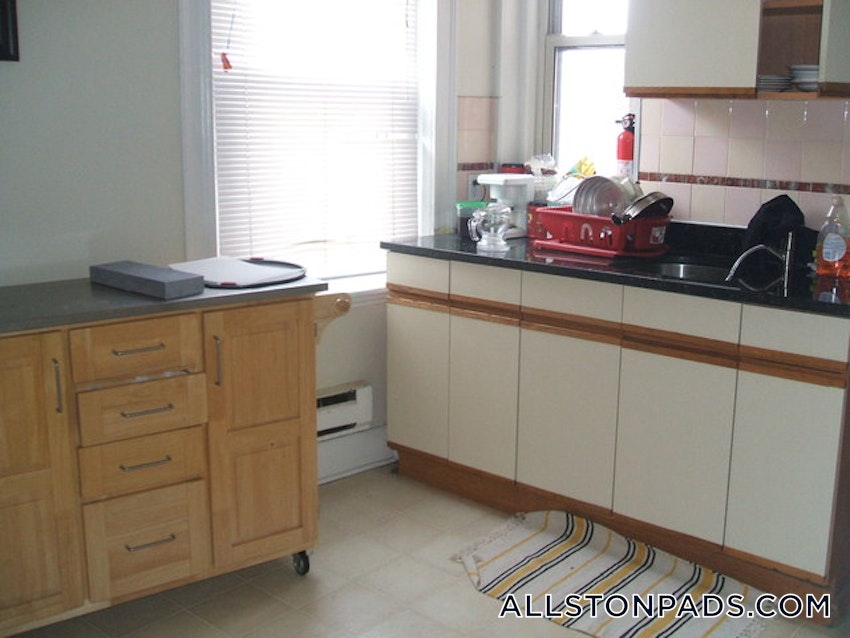 BOSTON - ALLSTON - 1 Bed, 1 Bath - Image 6