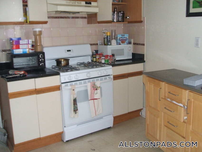 BOSTON - ALLSTON - 1 Bed, 1 Bath - Image 5