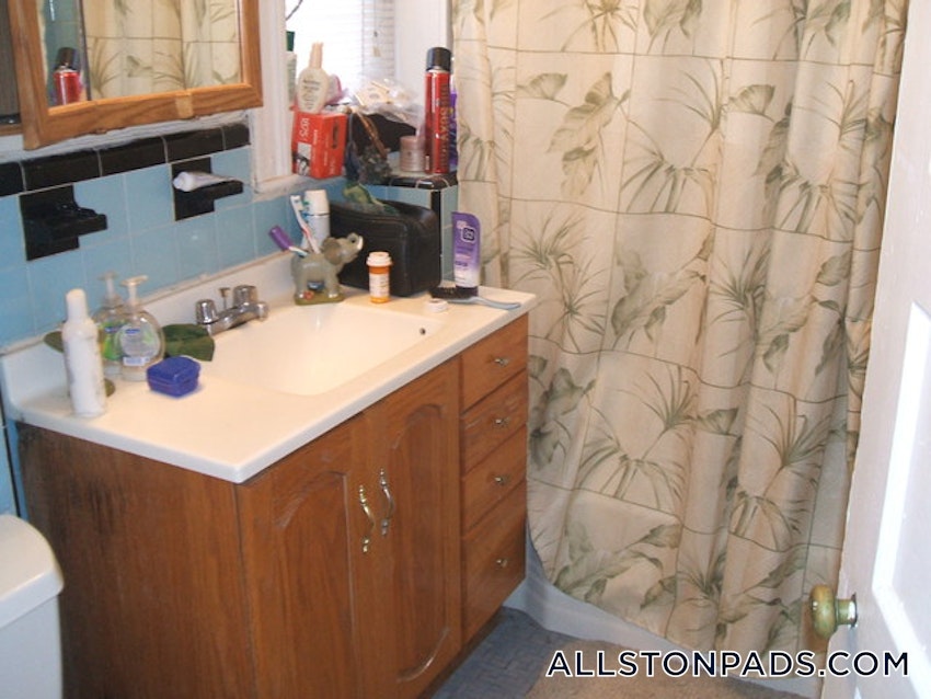 BOSTON - ALLSTON - 1 Bed, 1 Bath - Image 18