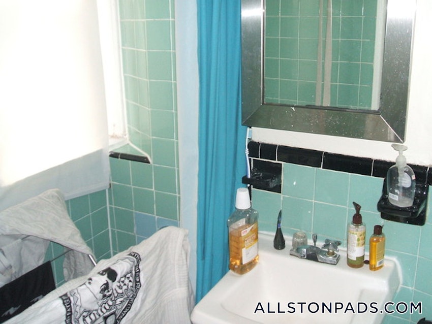 BOSTON - ALLSTON - 1 Bed, 1 Bath - Image 49