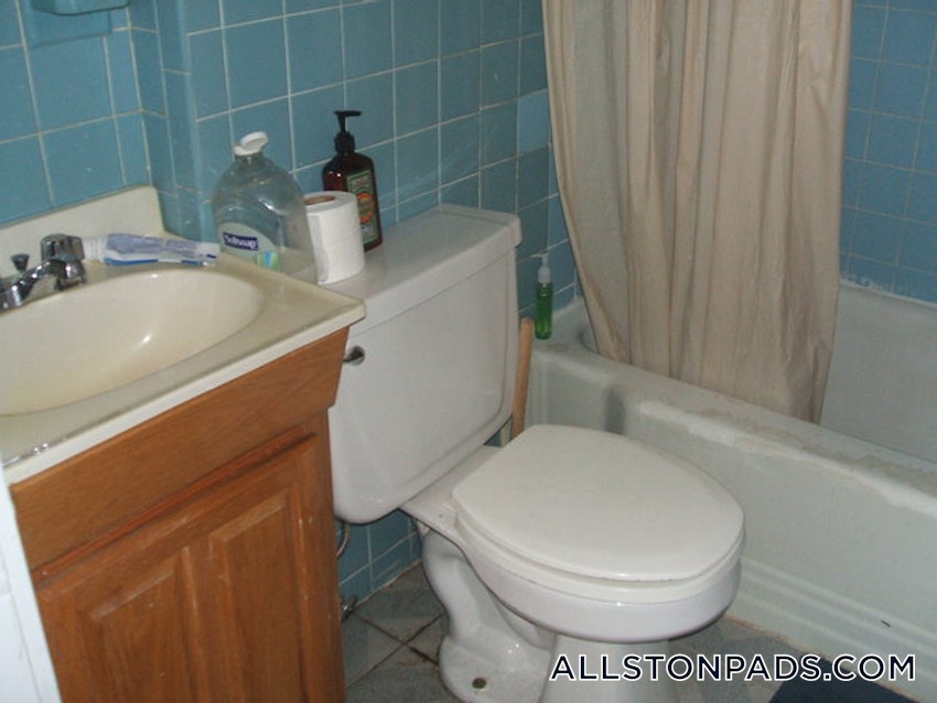 BOSTON - ALLSTON - 1 Bed, 1 Bath - Image 18