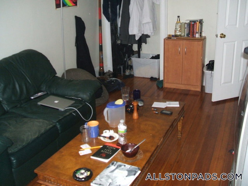 BOSTON - ALLSTON - 1 Bed, 1 Bath - Image 5