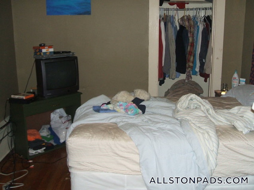 BOSTON - ALLSTON - 1 Bed, 1 Bath - Image 3