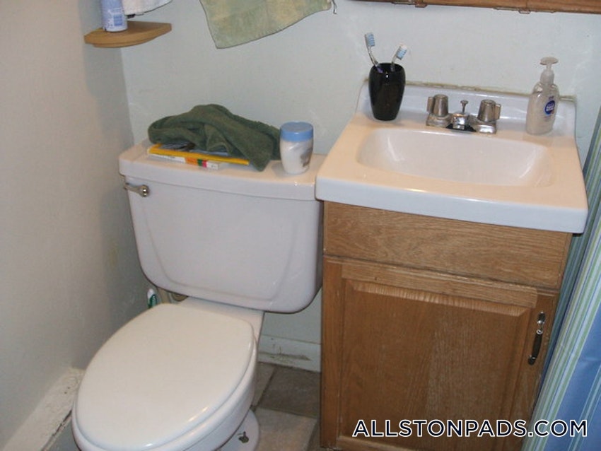 BOSTON - ALLSTON - 1 Bed, 1 Bath - Image 14