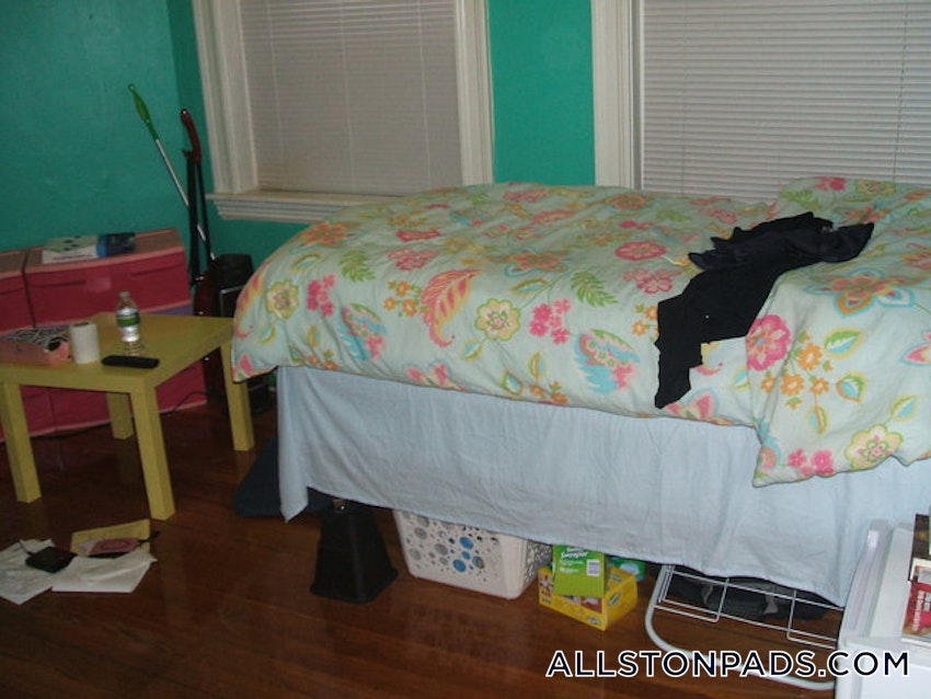 BOSTON - ALLSTON - 1 Bed, 1 Bath - Image 19