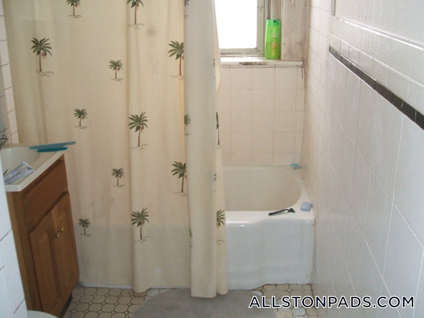 BOSTON - ALLSTON - 1 Bed, 1 Bath - Image 19