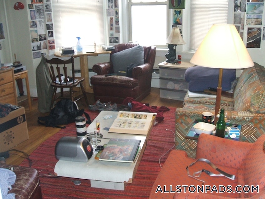 BOSTON - ALLSTON - 1 Bed, 1 Bath - Image 4