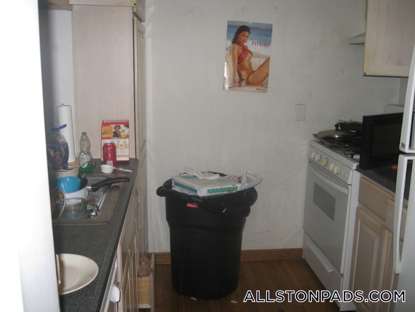 BOSTON - ALLSTON - 3 Beds, 2 Baths - Image 22