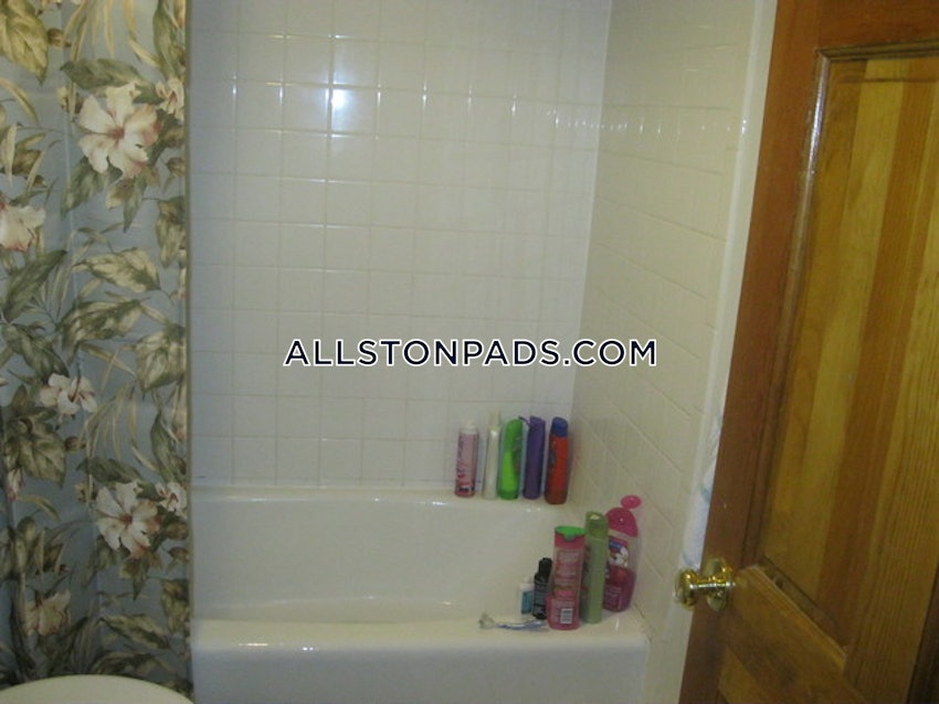 BOSTON - ALLSTON - 3 Beds, 2 Baths - Image 20