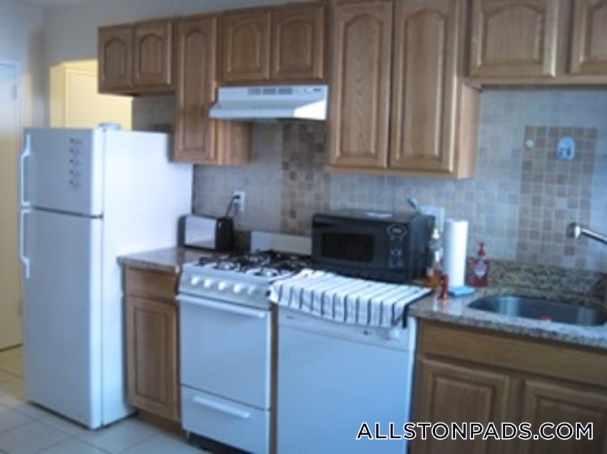 BOSTON - ALLSTON - 1 Bed, 1 Bath - Image 12