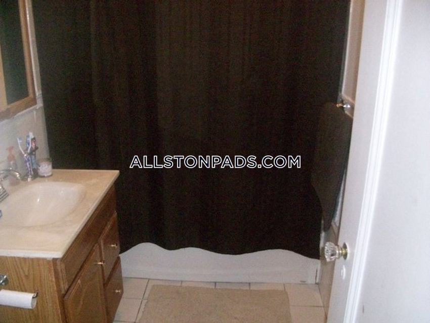 BOSTON - ALLSTON - 2 Beds, 1 Bath - Image 17