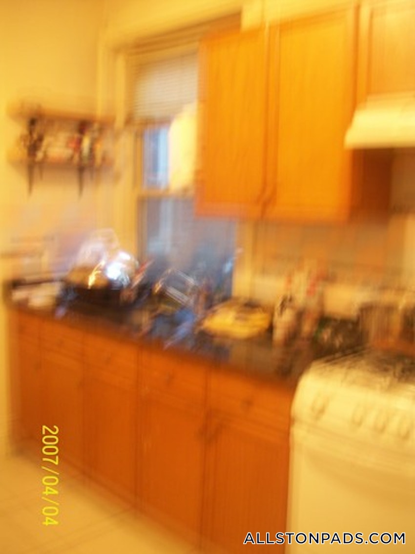 BOSTON - ALLSTON - 1 Bed, 1 Bath - Image 4