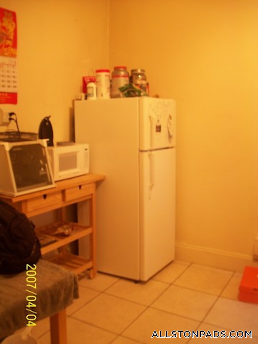 BOSTON - ALLSTON - 1 Bed, 1 Bath - Image 3