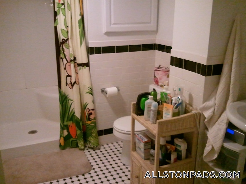 BOSTON - ALLSTON - 3 Beds, 1 Bath - Image 20