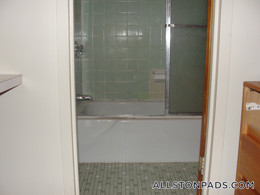 BOSTON - ALLSTON - Studio , 1 Bath - Image 10