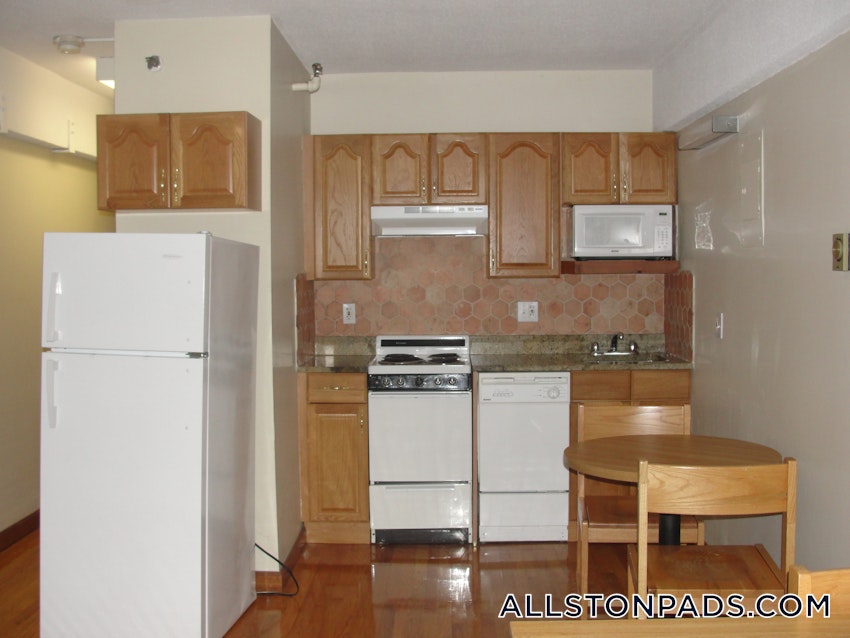 BOSTON - ALLSTON - Studio , 1 Bath - Image 1